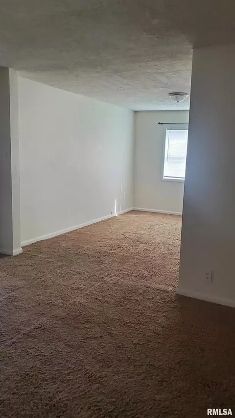 2101 Saline Ave, Eldorado, IL 62930 photo 16