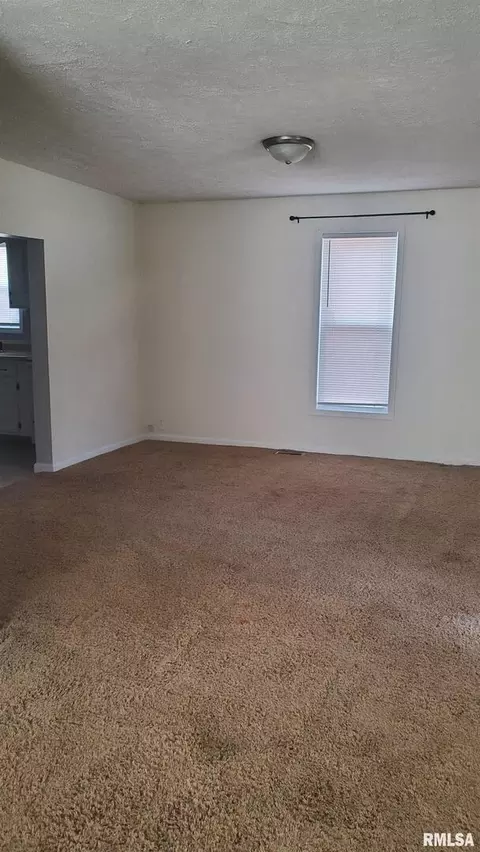 2101 Saline Ave, Eldorado, IL 62930 photo 18