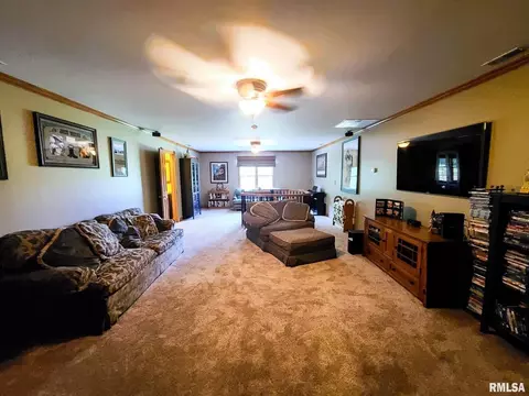 973 Buchanan Rd, Iuka, IL 62849 photo 26