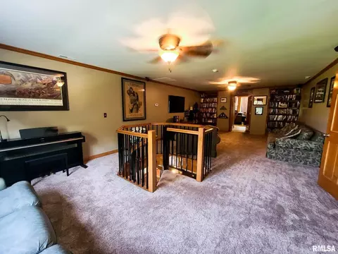973 Buchanan Rd, Iuka, IL 62849 photo 21