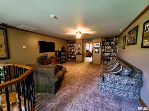 973 Buchanan Rd, Iuka, IL 62849 photo 20