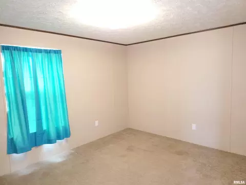 102 Doc Rd, Eldorado, IL 62930 photo 28
