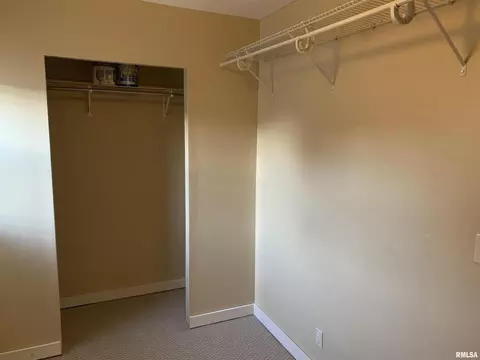238 N Douglas St, Centralia, IL 62801 photo 23