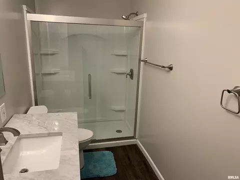 238 N Douglas St, Centralia, IL 62801 photo 19