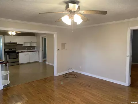 238 N Douglas St, Centralia, IL 62801 photo 15