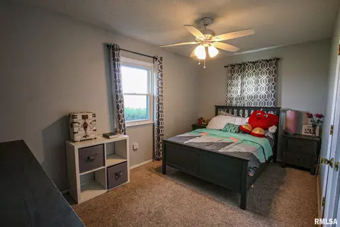 1501 County Road 700 E, Carmi, IL 62821 photo 6