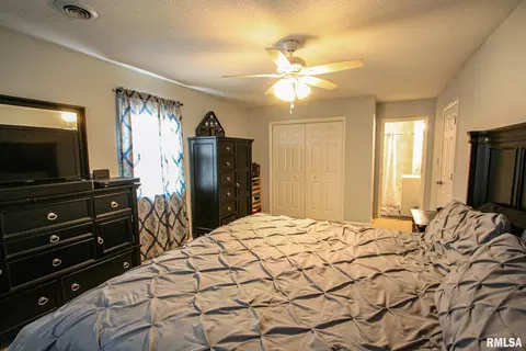 1501 County Road 700 E, Carmi, IL 62821 photo 4