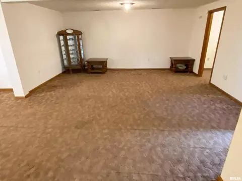 227 W Maple St, Flora, IL 62839 photo 13