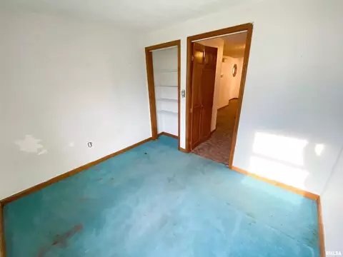 227 W Maple St, Flora, IL 62839 photo 37