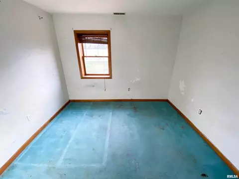 227 W Maple St, Flora, IL 62839 photo 36