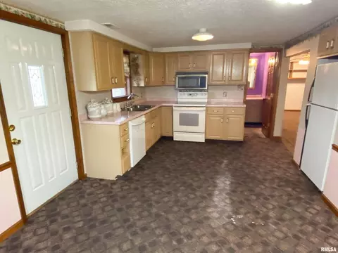 227 W Maple St, Flora, IL 62839 photo 20
