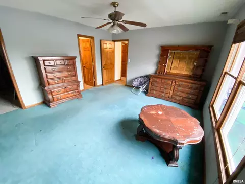 227 W Maple St, Flora, IL 62839 photo 28