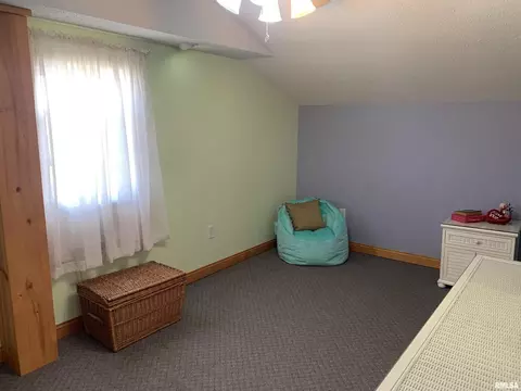 320 E 3rd St, Flora, IL 62839 photo 32