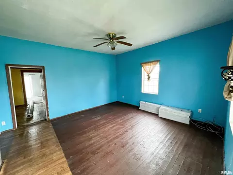 328 W 3rd St, Flora, IL 62839 photo 13