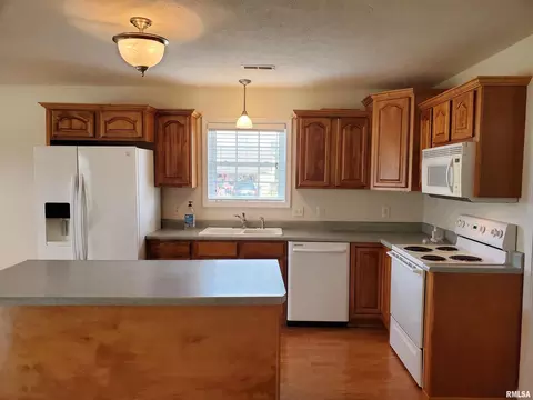 1410 Persimmon Dr, Marion, IL 62959 photo 7