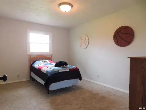 2671 Farthing Rd, Odin, IL 62870 photo 11