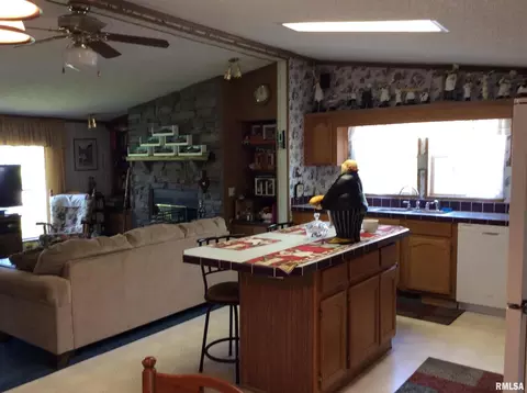 102 N Garrison St, Christopher, IL 62822 photo 11