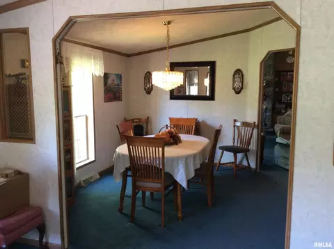 102 N Garrison St, Christopher, IL 62822 photo 5