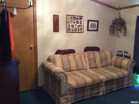 102 N Garrison St, Christopher, IL 62822 photo 29