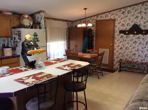 102 N Garrison St, Christopher, IL 62822 photo 15