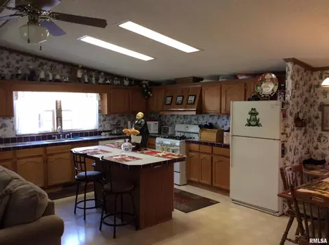 102 N Garrison St, Christopher, IL 62822 photo 9