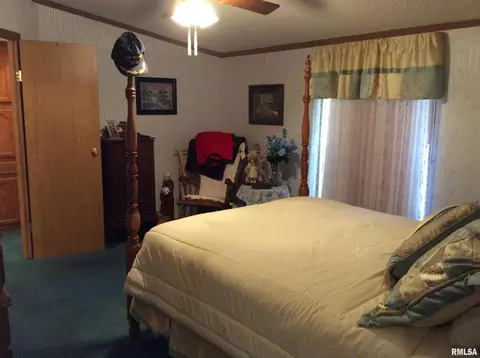 102 N Garrison St, Christopher, IL 62822 photo 20