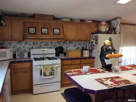 102 N Garrison St, Christopher, IL 62822 photo 14