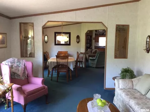 102 N Garrison St, Christopher, IL 62822 photo 4