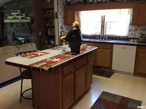 102 N Garrison St, Christopher, IL 62822 photo 13