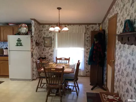 102 N Garrison St, Christopher, IL 62822 photo 10