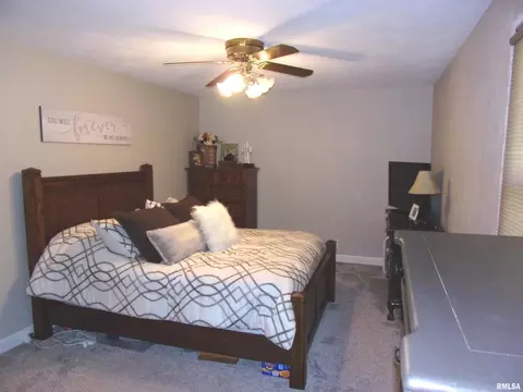 5329 Kell Rd, Kell, IL 62853 photo 14
