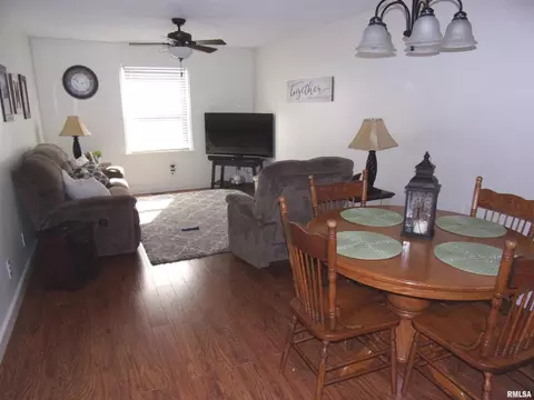 5329 Kell Rd, Kell, IL 62853 photo 10