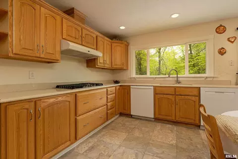 1608 White Pine Ln, Herrin, IL 62948 photo 9