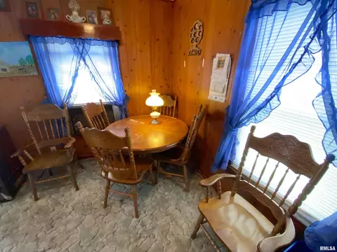 235 Park Ave, Flora, IL 62839 photo 17