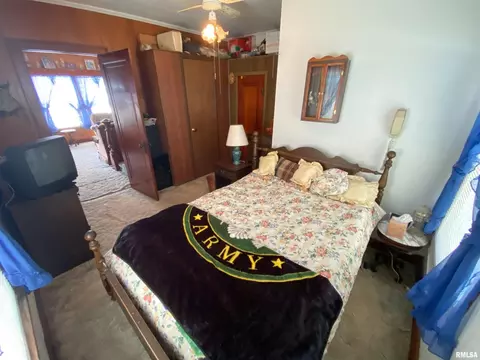 235 Park Ave, Flora, IL 62839 photo 19