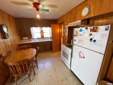 235 Park Ave, Flora, IL 62839 photo 33