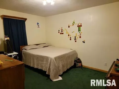 355 Red Cedar Rd, Ozark, IL 62972 photo 26