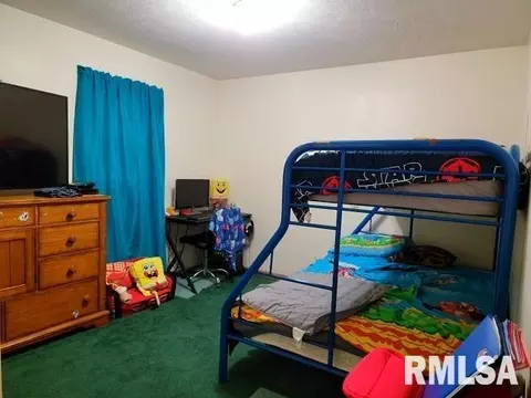 355 Red Cedar Rd, Ozark, IL 62972 photo 22