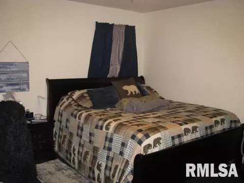 355 Red Cedar Rd, Ozark, IL 62972 photo 17