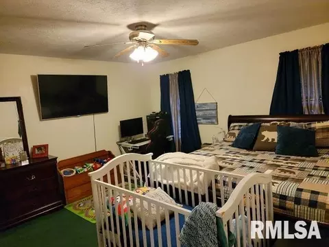 355 Red Cedar Rd, Ozark, IL 62972 photo 16