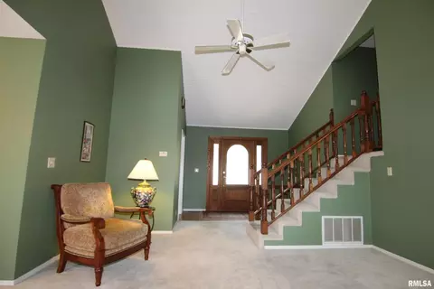 208 Evergreen Dr, Anna, IL 62906 photo 15