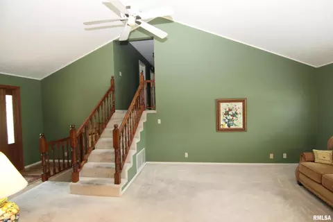 208 Evergreen Dr, Anna, IL 62906 photo 18