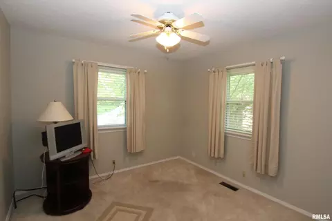 208 Evergreen Dr, Anna, IL 62906 photo 29