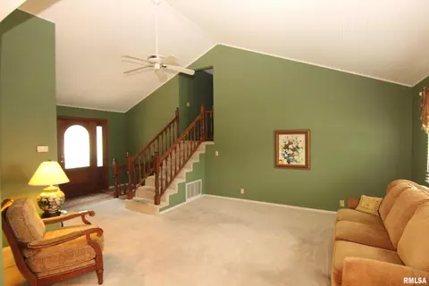208 Evergreen Dr, Anna, IL 62906 photo 17
