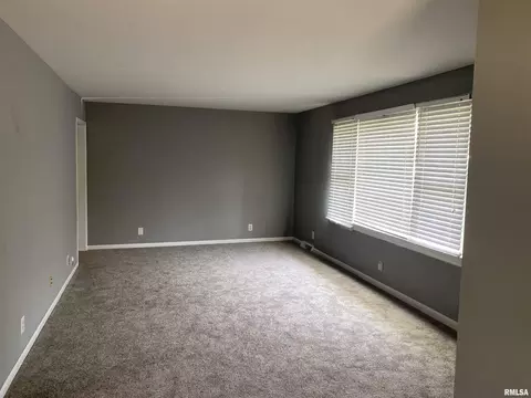509 W 19th St, Metropolis, IL 62960 photo 6