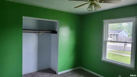 41 Edgebrook Ln, Centralia, IL 62801 photo 9