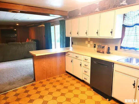 2602 Lincoln Ave, Odin, IL 62870 photo 39