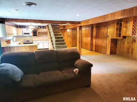 2602 Lincoln Ave, Odin, IL 62870 photo 41