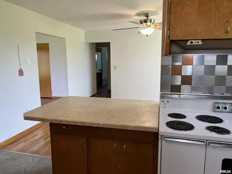 910 Middleton St, Iuka, IL 62849 photo 11