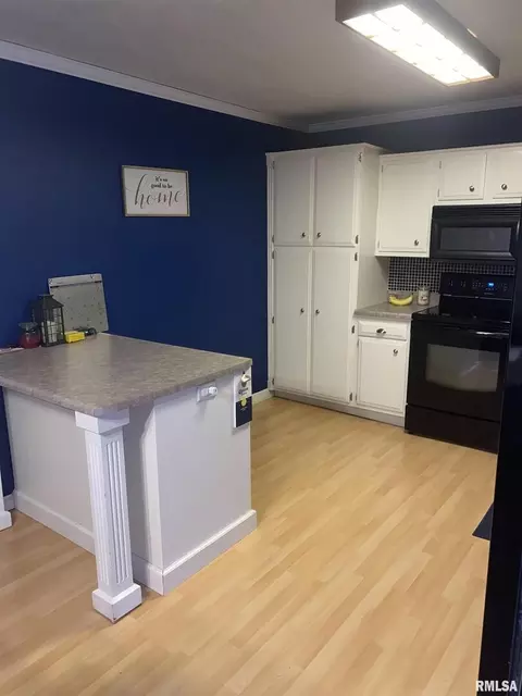 502 Roddy Rd, Salem, IL 62881 photo 3